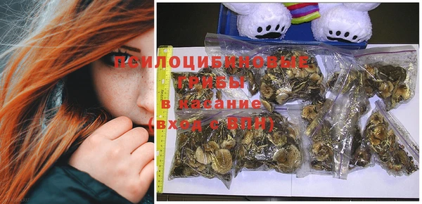ECSTASY Балахна